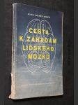 Cesta k záhadám lidského mozku - náhled