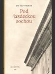 Pod jazdeckou sochou - náhled