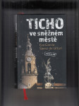 Ticho ve sněžném městě - náhled