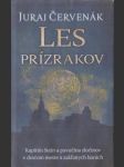 Les prízrakov - náhled