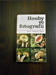 Houby ve fotografii - náhled