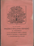 Pražská spalovna odpadků ve Vysočanech - náhled