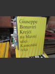 KrejÄŤĂ­ na hlavnĂ­ ulici, KamenitĂˇ Ĺ™eka - SicĂ­lie - náhled