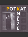 Potkat kněze - náhled