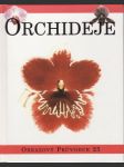 Orchideje - náhled