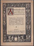 Amslerdrucke und Albertina-Fascimiledrucke - graf. příloha - náhled