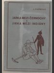 Jarka mezi černochy a Jirka mezi indiány - náhled