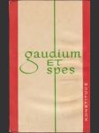 Gaudium et spes - náhled