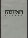 Synergia kresba (veľký formát) - náhled