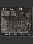 Pražský chodec - náhled