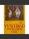 Vyšehrad pohledem věků - náhled