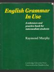 English Grammar In Use - náhled