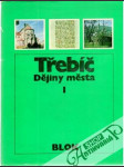 Třebíč - dějiny města I. - II. - náhled