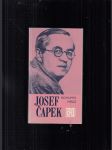 Josef Čapek - náhled