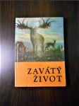 Zavátý život - náhled