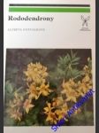 Rododendrony - dostálková alžběta - náhled