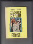 Židovská Praha ( Glosy k dějinám a kultuře, průvodce památkami) - náhled