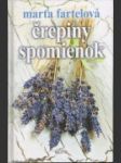 Črepiny spomienok - náhled