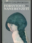 Forsytovo nanebevzetí - náhled