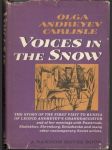 Voices in the Snow - náhled