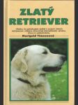 Zlatý retriever - náhled