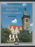 Novoměstská radnice Karlovo náměstí - náhled