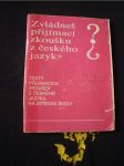 Zvládneš přijímací zkoušku z českého jazyka? - náhled