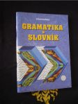 Gramatika a slovník : intermediate - náhled