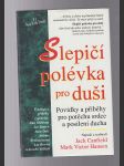 Slepičí polévka pro duši - povídky a příběhy pro potěchu srdce a posílení ducha - náhled