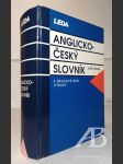 Anglicko-český slovník - náhled