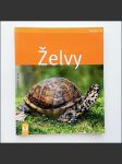 Želvy - náhled