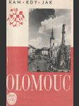 Průvodce po historických památkách města Olomouc - náhled