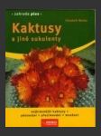 Kaktusy a jiné sukulenty - náhled