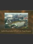 Jahrhundertflut in sachsen - náhled