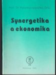 Synergetika a ekonomika - náhled