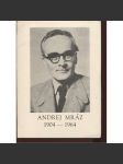 Andrej Mráz 1904-1964 (text slovensky) - náhled