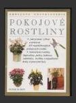 Pokojové rostliny ( The New Houseplants A -Z) - náhled