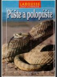 Púšte a polopúšte - náhled