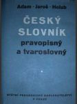 Český slovník pravopisný a tvaroslovný - náhled