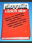 Slovník cizích slov - náhled