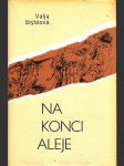 Na konci aleje - náhled