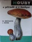 Houby v přírodě a v kuchyni - náhled