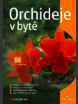 Orchideje v bytě - náhled