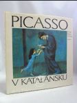 Picasso v Katalánsku - náhled