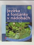 Jezírka a fontánky v nádobách - náhled