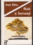 Rok s bonsají - náhled