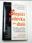 Slepičí polévka pro duši - náhled