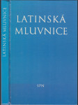 Latinská mluvnice - náhled