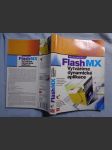 Macromedia Flash MX : vytváříme dynamické aplikace - náhled