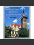 Novoměstská radnice. Karlovo náměstí - náhled